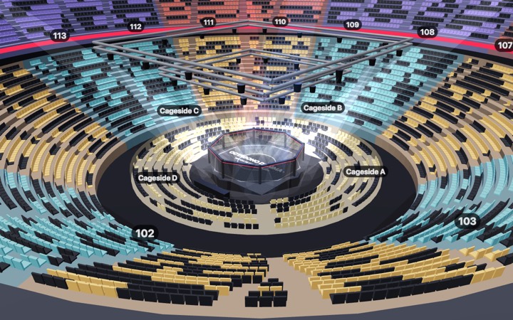 Octágono de MMA en 3D
